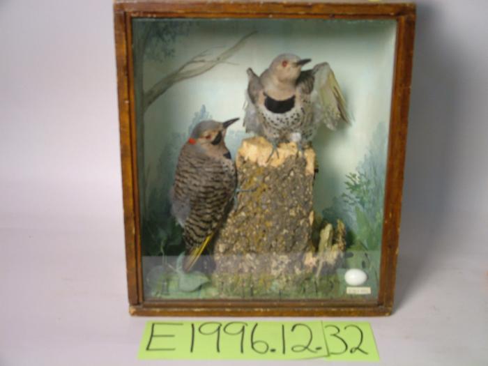 Flicker, School Loan Collection