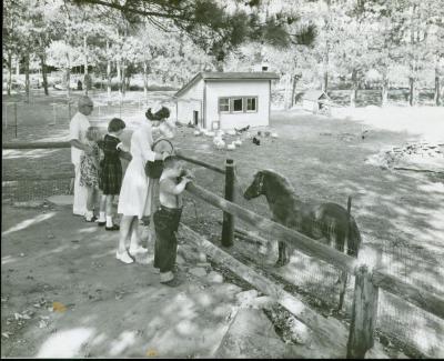 Photograph, Pine Rest Nurses at a Farm