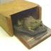 Bullfrog