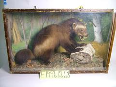 Wolverine (mount)