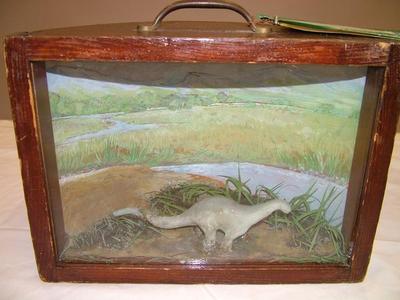 Dinosaur Model, Brontosaurus