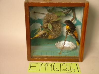 Oriole, Baltimore, School Loan Collection