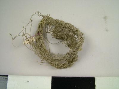 Thread