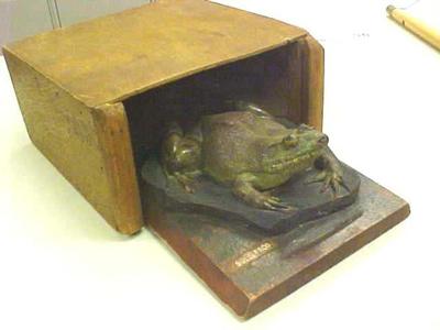 Bullfrog