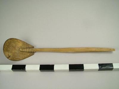 Spoon, Coconut Shell