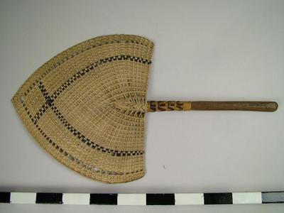 Fan, Ili Tea