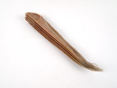 Whale Baleen