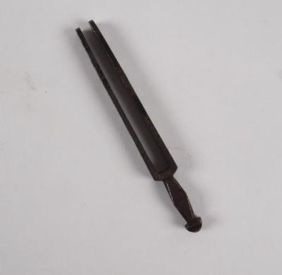 Tuning Fork