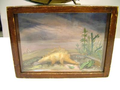 Dinosaur Model, Stegosaurus