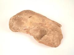 Whale Bone Fragment