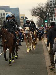 Digital Photograph, Inauguration Day