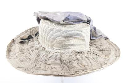 Picture Hat