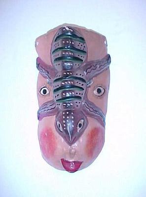 Mask, Person With Insect Attached To Face, Guerrero, Mexico