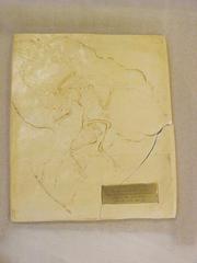 Archaeopteryx Lithographica, Cast Replica