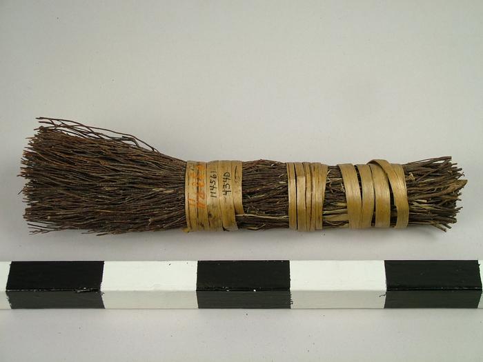 Brush, Scrub