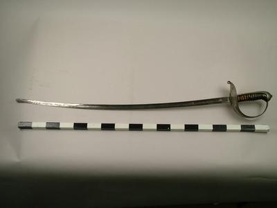 Fencing Saber