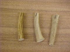Mule Deer Antler Tines, 3, Odocoileus Hemionus