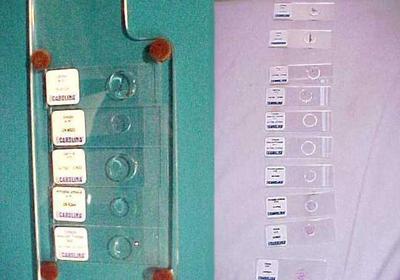 Microscope Slides, 15