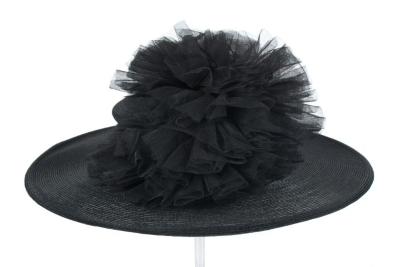 Picture Hat