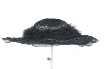 Picture Hat