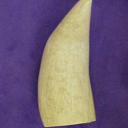 Scrimshaw Sperm Whale's Tooth