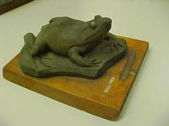 Bull Frog
