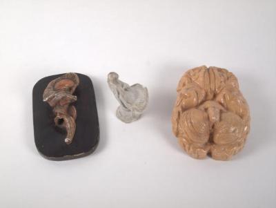 Brain Models (3 Of 5)