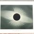 Total Eclipse of the Sun. 