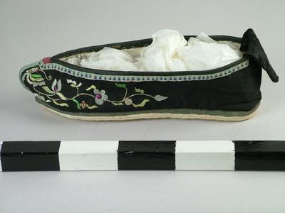 Chinese Servant's Slipper