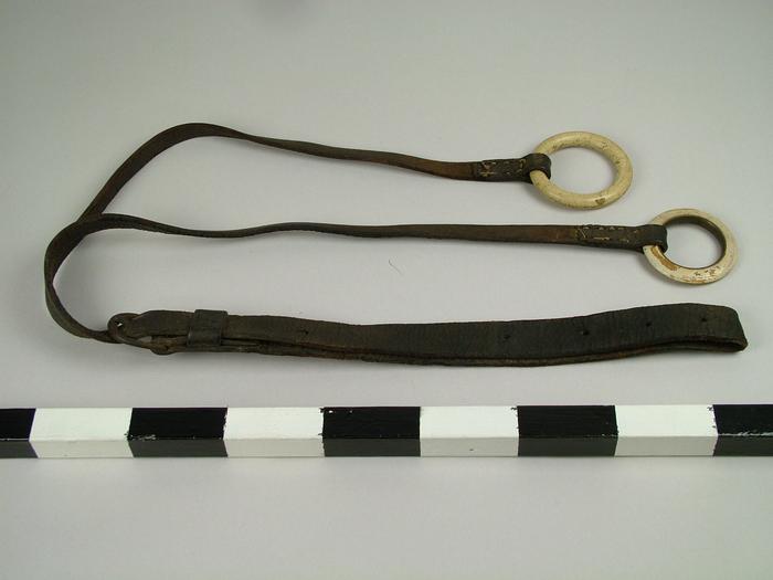 Bridle (2 Pcs)