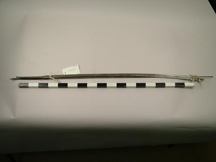 Fencing Foils