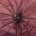 Parasol