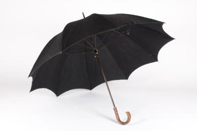 Umbrella