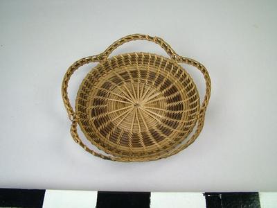 Tray