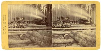 Stereoview, Logging Train Near Stanton, Michigan