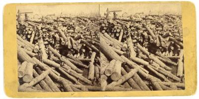 Stereoview, Big Load Of Logs