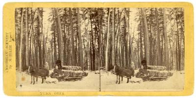 Stereoview, Hauling Through The Woods (Winter) At  Trufants, Michigan