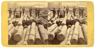Stereoview, Logs Runners, Michigan