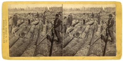 Stereoview, Rollways At Six Lake, Michigan