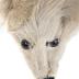 Fur Stole
