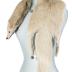 Fur Stole
