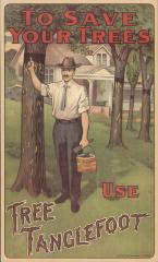 Poster, Reproduction, 'to Save Your Trees, Use Tree Tanglefoot'
