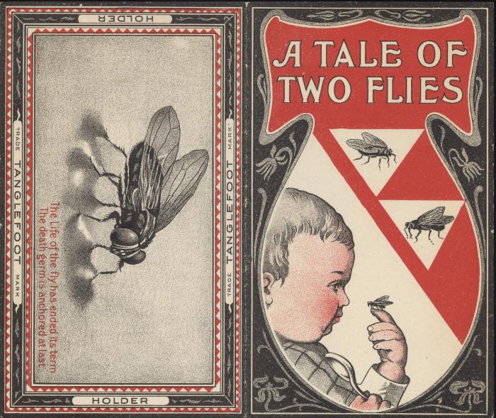 Booklet, 'a Tale Of Two Flies'