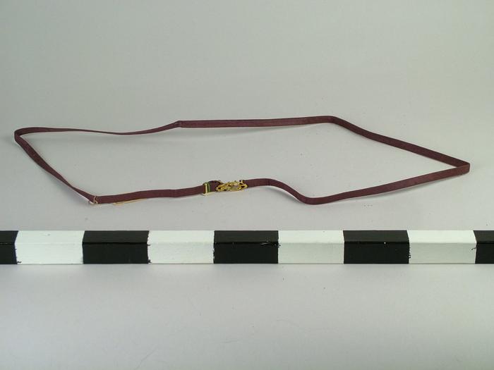 Belt
