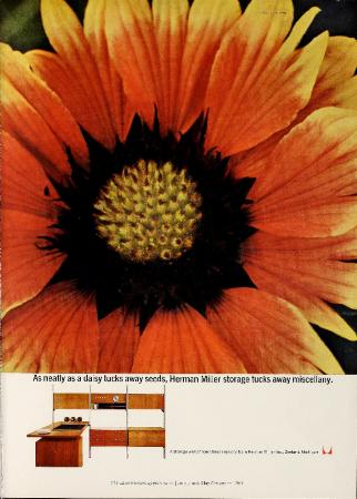 Advertisement, Herman Miller, As Neatly As A Daisy Tucks Away Seeds...