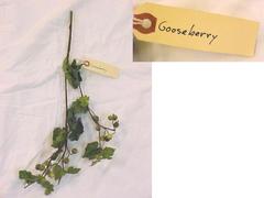 Gooseberry Branch, Artificial