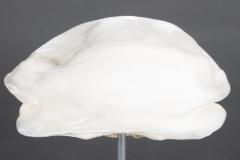 Beret