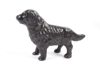 Bank, Iron Dog