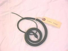 Green Snake, Artificial