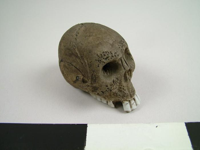 Paperweight, Skull